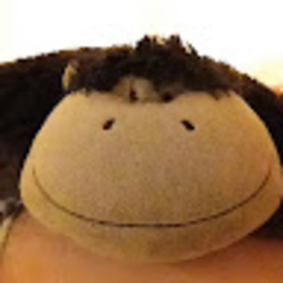 Meet your Posher, Cody - Picture 1 of 1